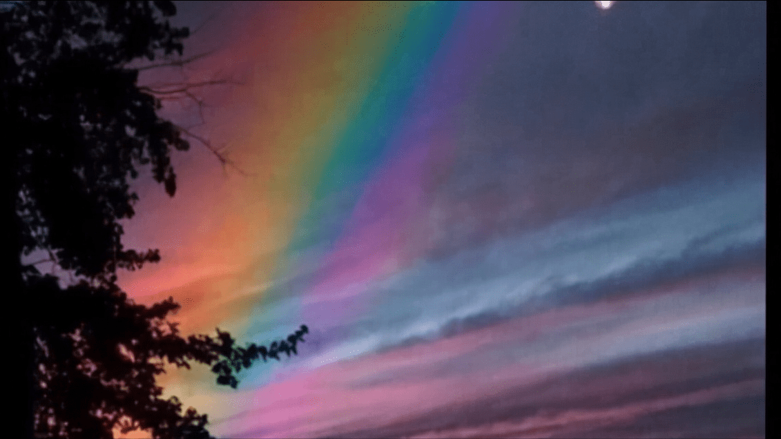 7c25d202e9ed4275a19533eba17c67c7.png
