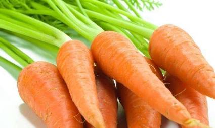 现在可以种胡萝卜晚不晚 aeca4f8b1c7247f6898d6fb9005d665d.jpeg