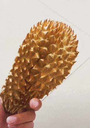 狗狗被主人忽悠闻榴莲皮,捂鼻子出奇的老练,戏精上身!_味道