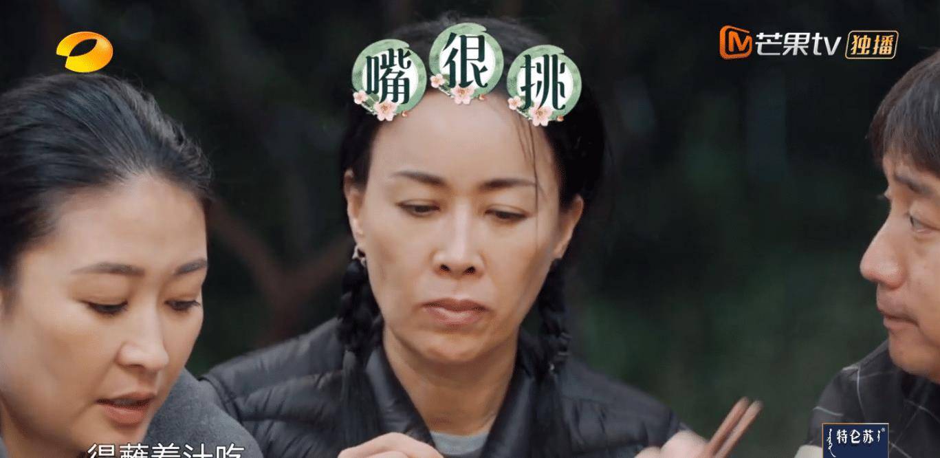 陈赫|《向往5》黄磊厨艺遭质疑, 那英一番话撕开遮羞布, 何炅顿时尴尬