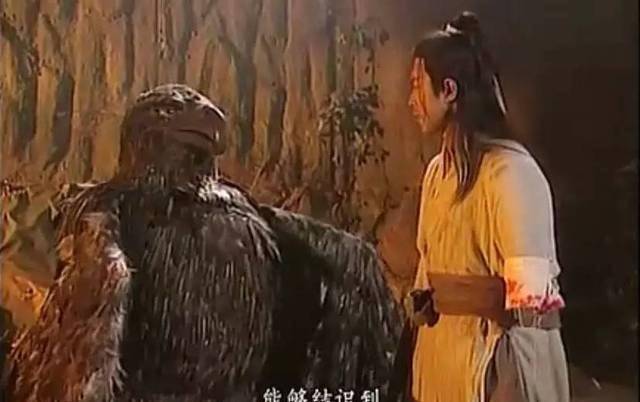 郭靖和|神雕侠侣扯闲篇儿：为啥杨过好巧不巧遇见了蛇雕大战帮雕不救蛇？