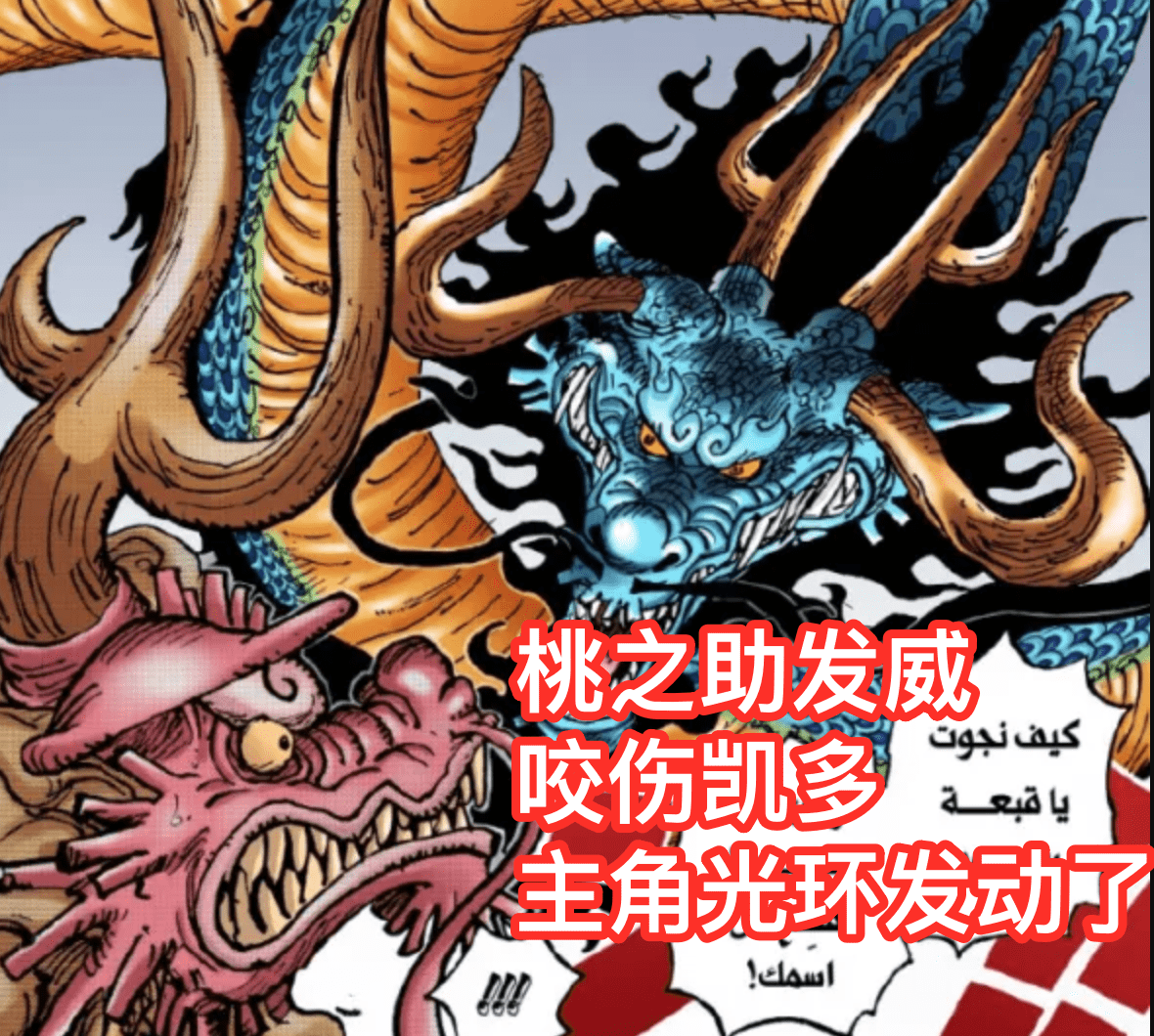 四皇|海贼王1026话情报，天山王之战！路飞达到四皇实力，与凯多破天