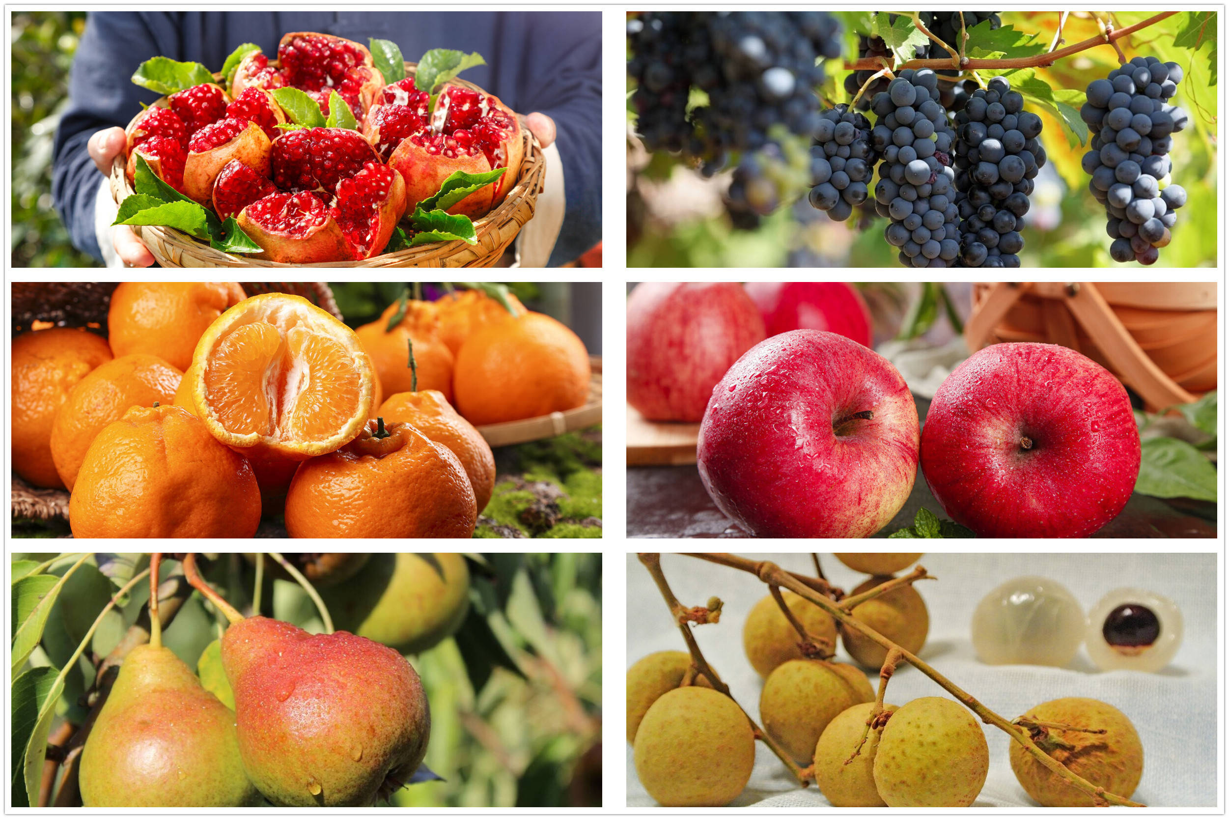 秋天6种碱性水果碰到别手软常买常吃平衡身体好过秋