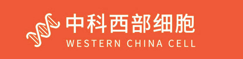 治疗|中科西部干细胞研究院：不同移植途径干细胞疗法治疗肝硬化研究案例