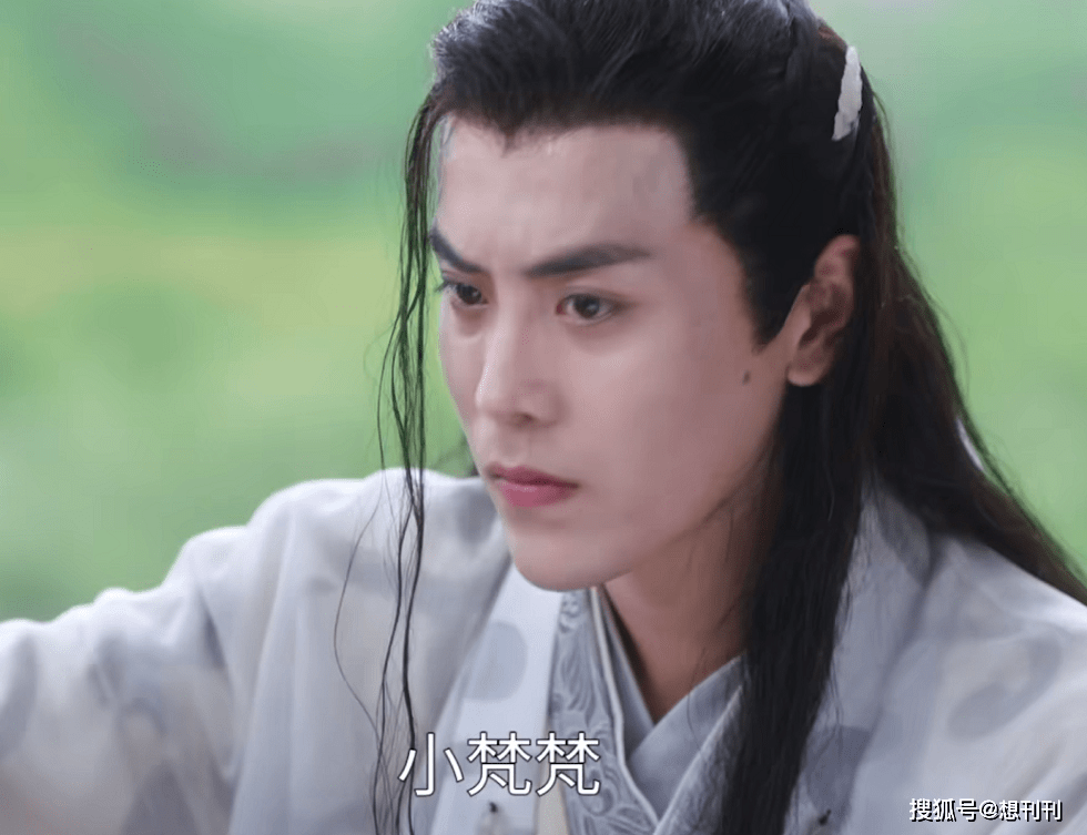 什么|五毒俱全！网剧主角配角一个比一个辣眼睛，整容崎岖超龄演技差…