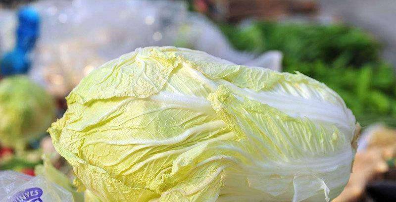 怎么挑选好吃的白菜 dc831d91fee34f5cbe9515d4e99b2267.jpeg