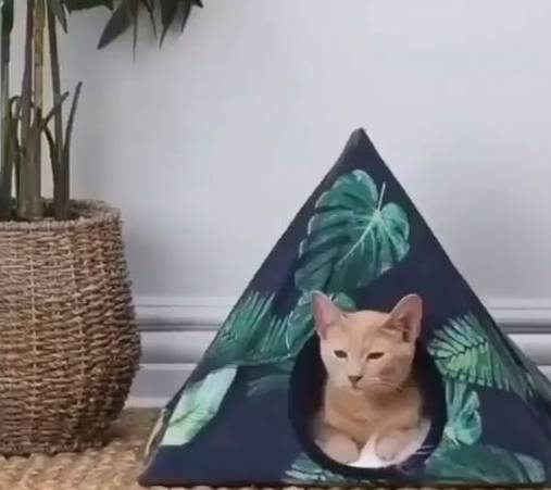 啥时候开始暖和 f97aa89055cb477186d16597a9037398.jpeg