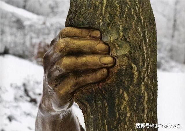 世上特别的三只手，一只握着树干，一只在沙漠里，还有一只在我国