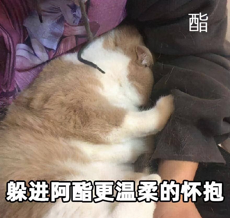 氧化抗衰产品大起底，这 10 款性价比超高，不比医美差
