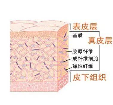 补充肌肤焕活？老网红终于通过认证，怕疼的你终于可以试试长效水光针啦~