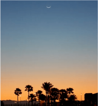 d4c9eb457c0e400b8fa92343e6169590.png
