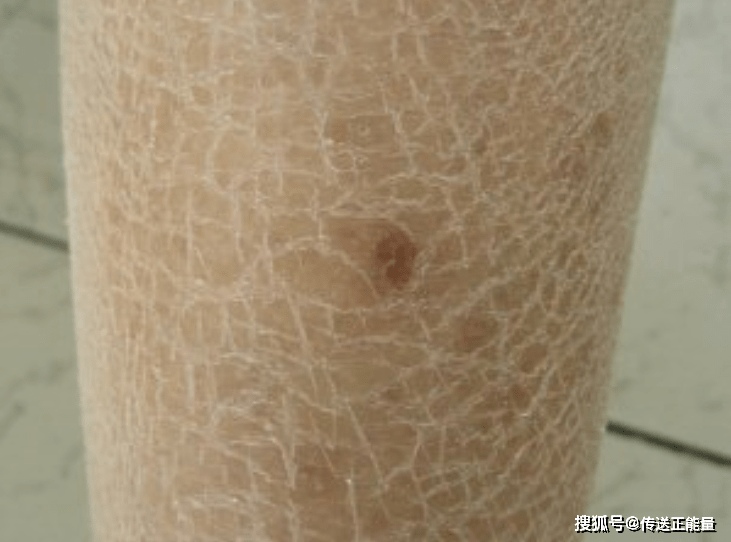 dd40a1cb362844528ab800c44f3270a2.png