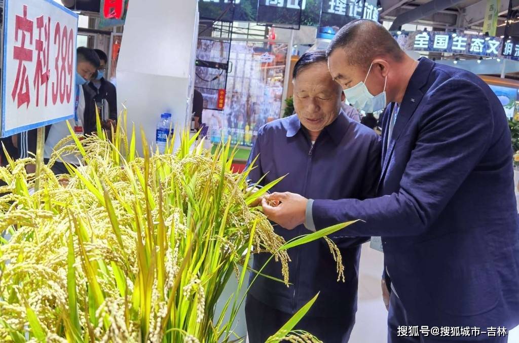 东北亚|东北亚博览会丨良好平台让参展商直呼“过瘾” ,通化展区人气爆棚!