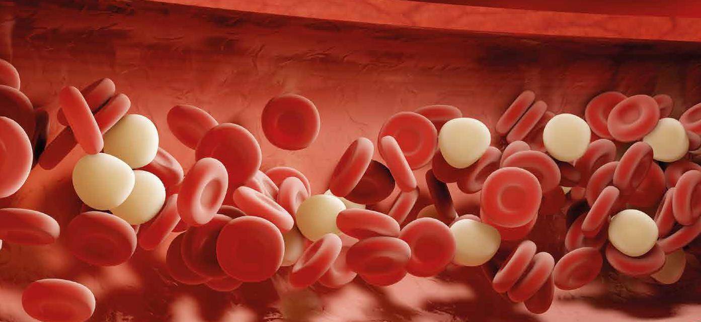 饮食|查血时发现血脂超标，通常第1件事是吃降脂药，很多人都进入误区