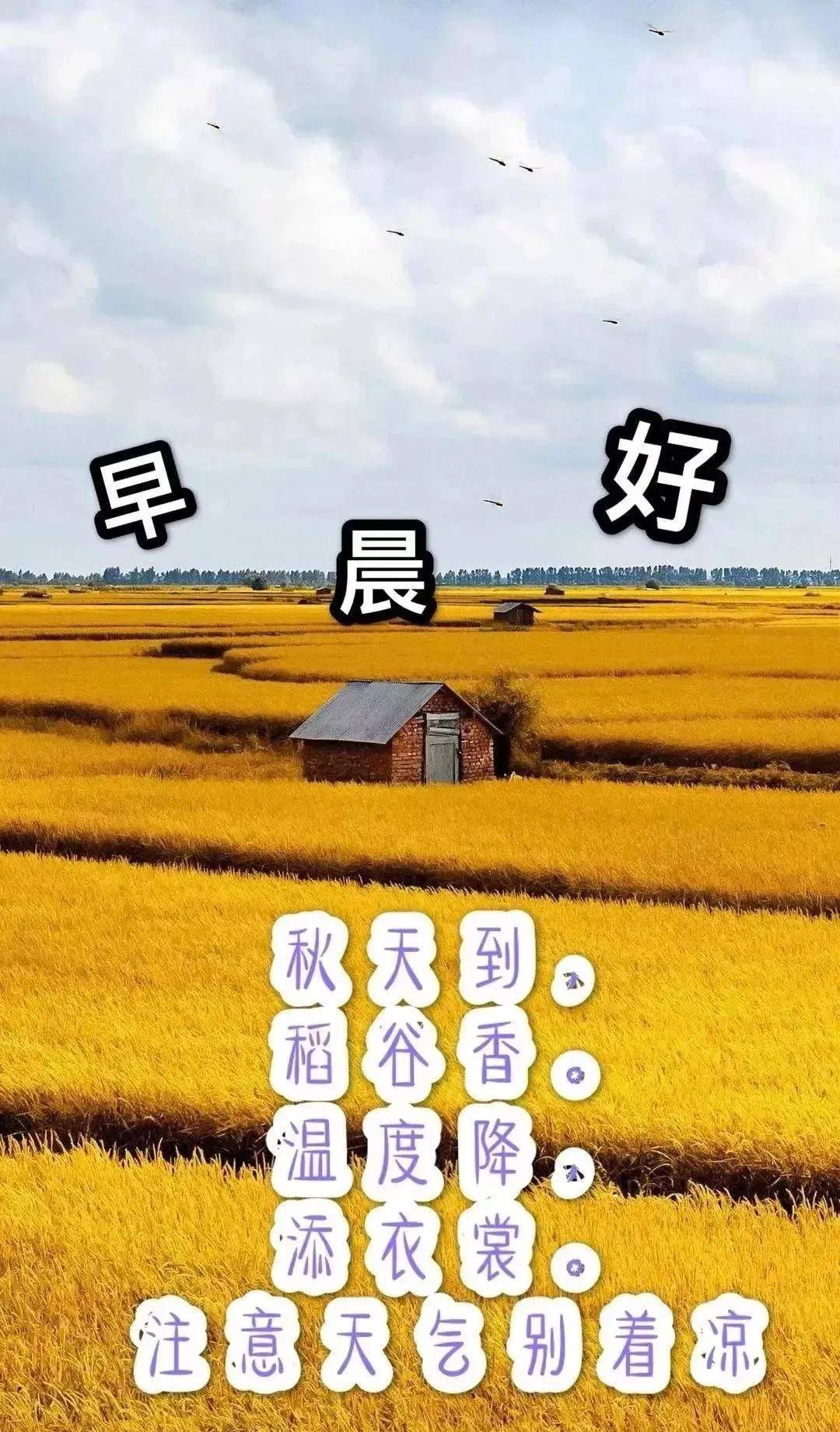 原创8张创意唯美早安早上好祝福语图片大全免打字秋日清晨早安问候语