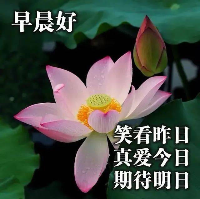 因为|9月25日秋季清晨问候朋友早上好的暖心祝福，最美早晨好群发动态美图