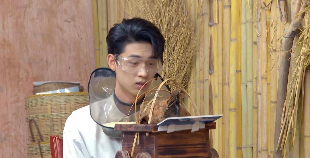 节目组|推理真人秀相继翻车，《最后的赢家》靠嘉宾阵容出圈