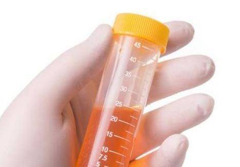 肝脏|肝不好的人，保温杯里泡两朵，排肝毒，壮肝阳，肝脏悄悄变好