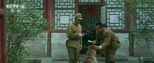 因为|2464人要求“炸死”导演,为了效果炸死军勋犬的姚守岗,被骂了