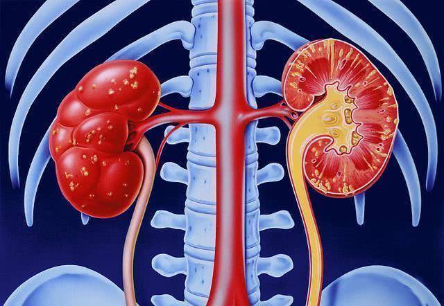 水平|糖尿病也能治好吗?医生:逆转“大法”已现世,并没现象中那么可怕