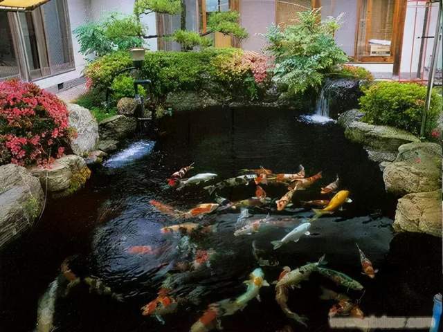 让你的锦鲤池成为整个花园的"点睛之笔"_鱼池