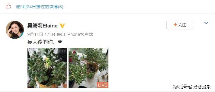 吴绮莉48岁生日显孤单 仅12个粉丝留言祝福 女儿没能陪伴身边 妈妈 新闻时间
