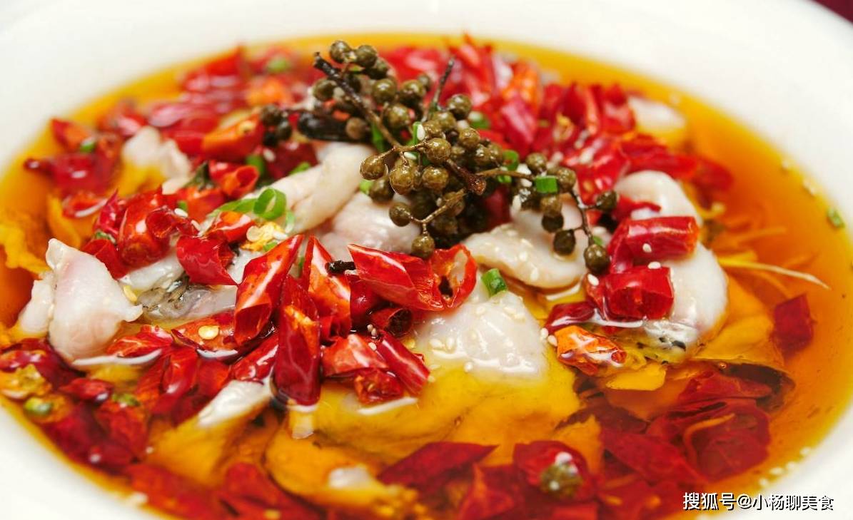 水煮鱼简谱_水煮鱼片图片