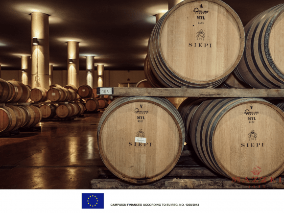 葡萄藤|玛泽世家 Siepi 2019年份再创经典