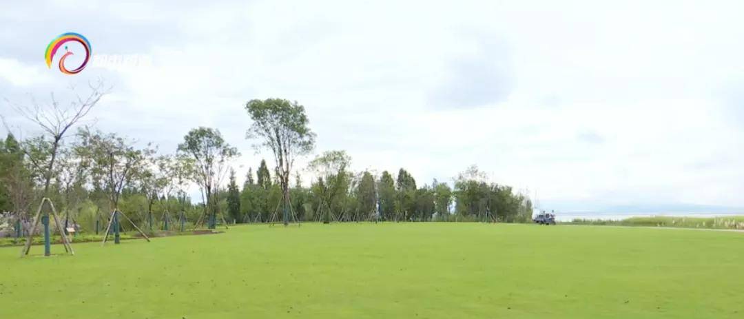 宝丰286亩！稻田、飞鸟、鱼虾、树林...COP15室外展示区宝丰湿地建设基本完毕