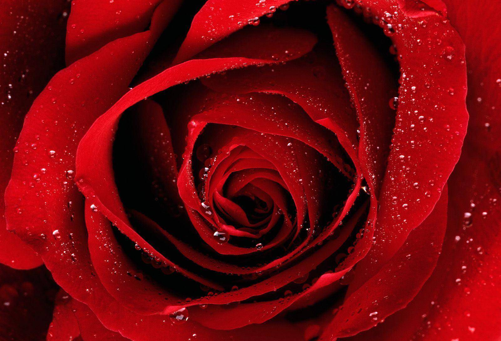 原创9月中旬开始运势亨通,金银满仓,事业欣欣向荣的四大生肖