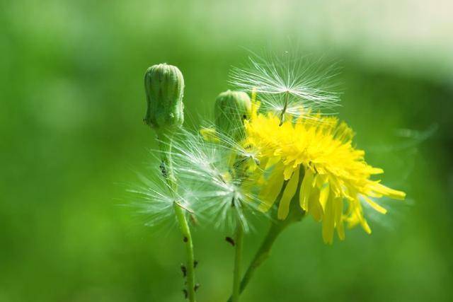 控制|血糖高的人,少吃三白,多补三物,记住三个字,血糖更平稳