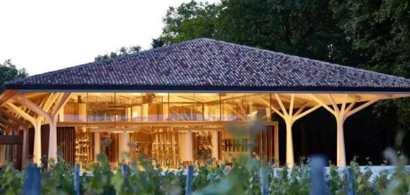 酿造|玛歌白亭干白葡萄酒2016!