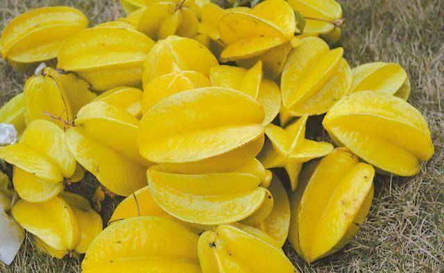 睡眠|“尿毒症”是“吃”出来的？提醒：生活中这4种食物尽量少吃