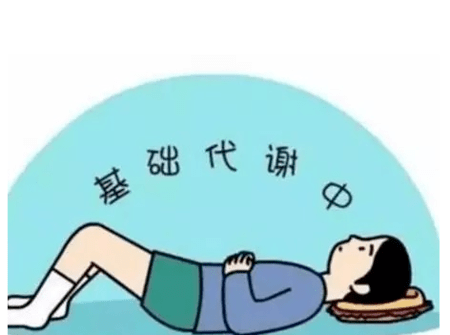 基础代谢降低了怎么办