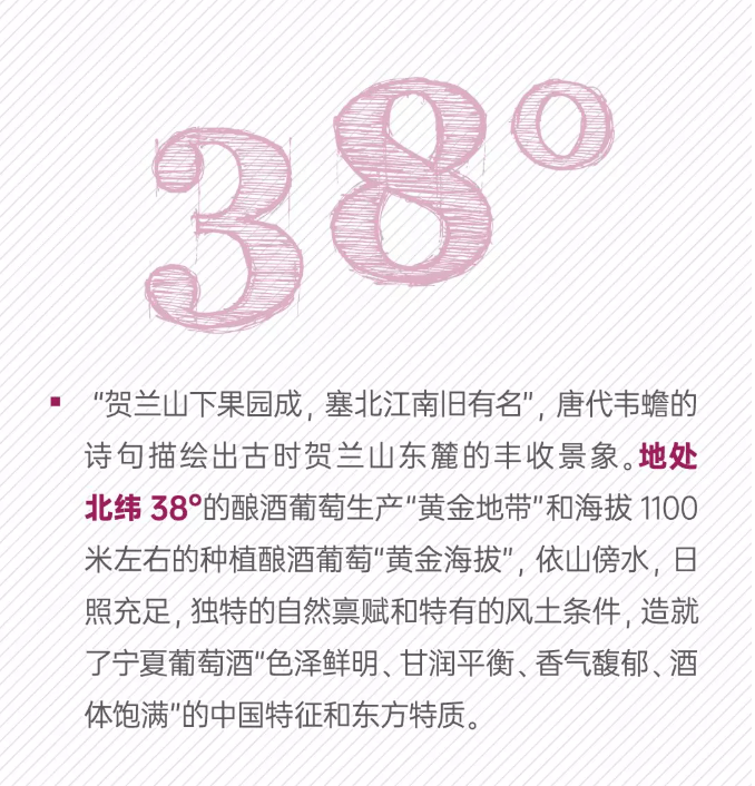 成长|宁夏葡萄酒的数字成长记！