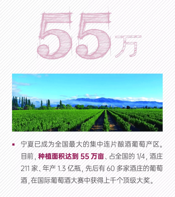 成长|宁夏葡萄酒的数字成长记！