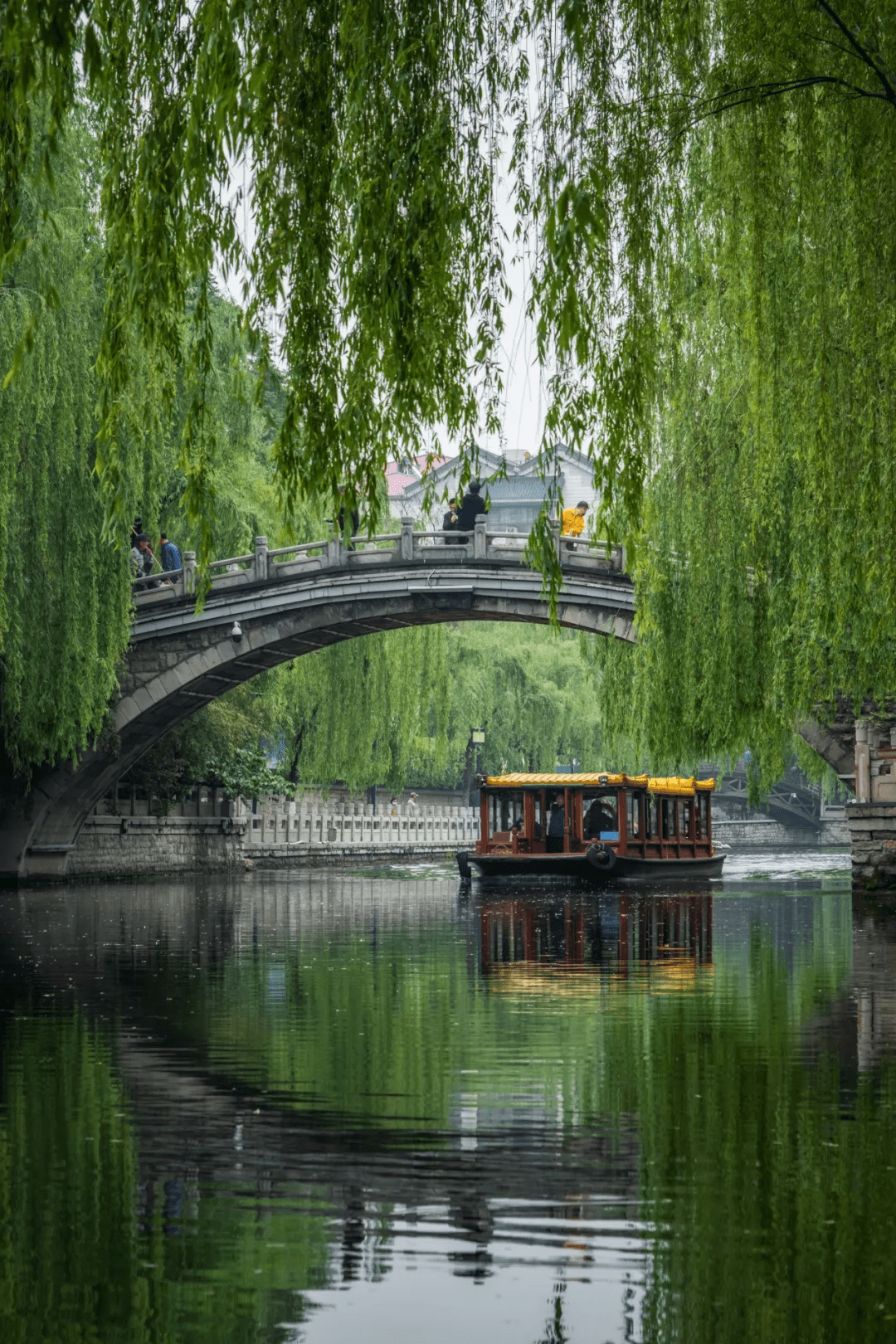 胜景|雨季的济南有多美？这几处雨中撩人胜景恰似“烟雨江南”！