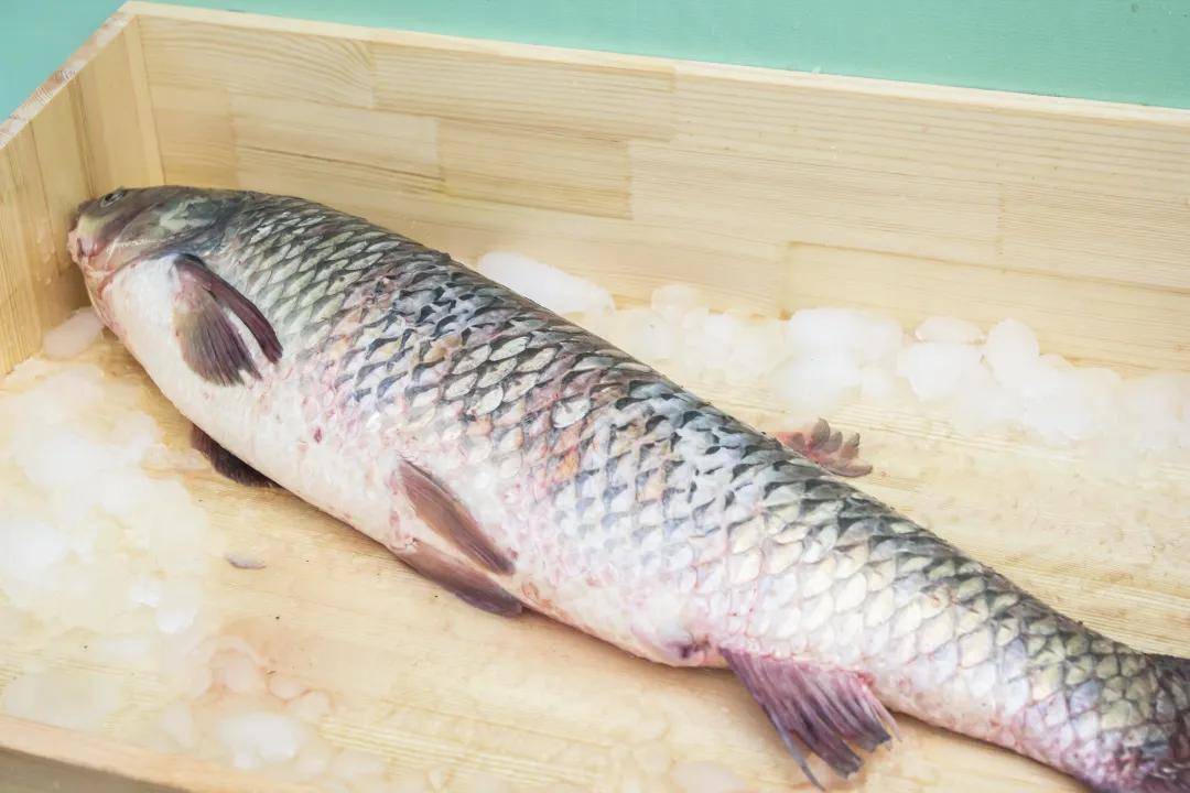 密云水库开河啦~想尝鲜开库鱼的赶紧看过来!