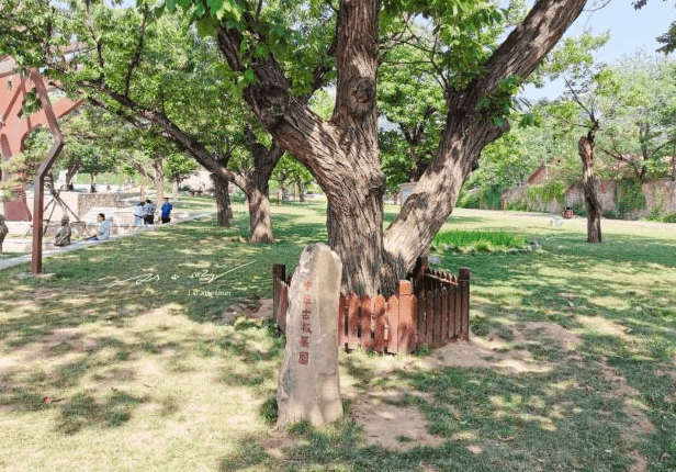 河南有座不起眼的景区，却是当地的“香饽饽”，风景优美门票免费