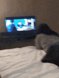 搞笑GIF：老婆你快來，我要給你一個驚喜 搞笑整蠱 第9张