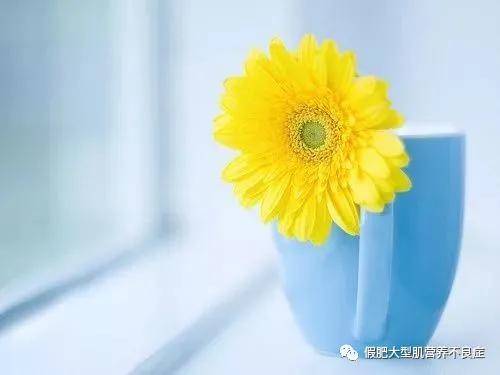 症状|肌营养不良：珍惜生活的每一天