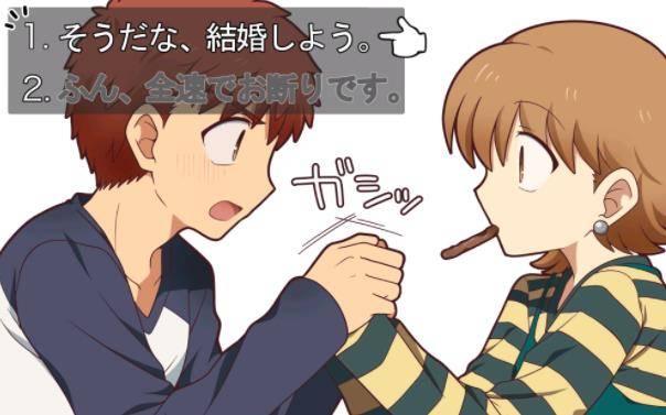 Fate结局隐藏路线同人图士郎向大河求婚无法选择拒绝的选项 伊莉雅