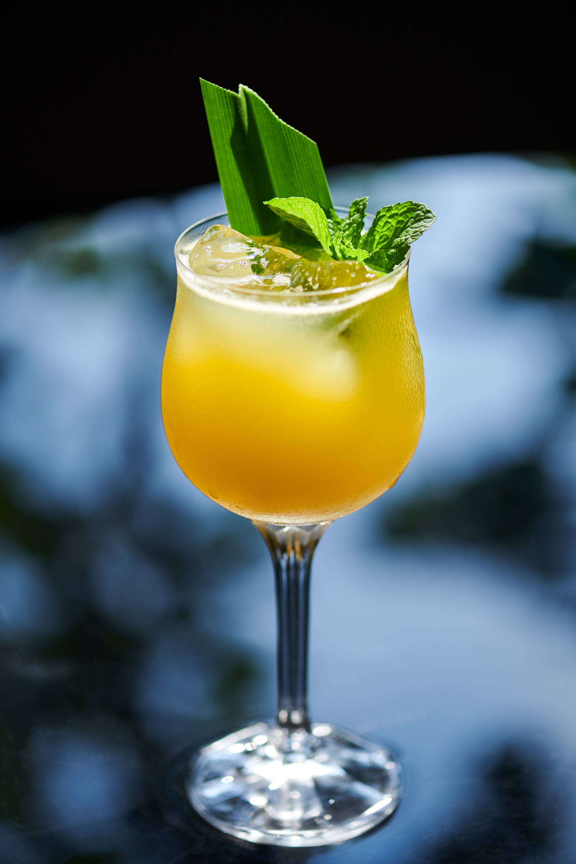 纵情意式午后惬享花园美景上海宝格丽酒店开启秋日甜蜜之境