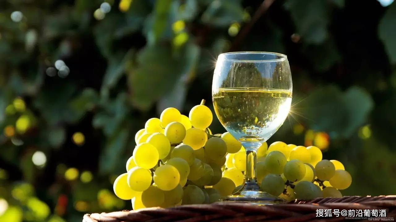 葡萄|德国葡萄酒的品种、特点和重要产区,优雅迷人的德国葡萄酒