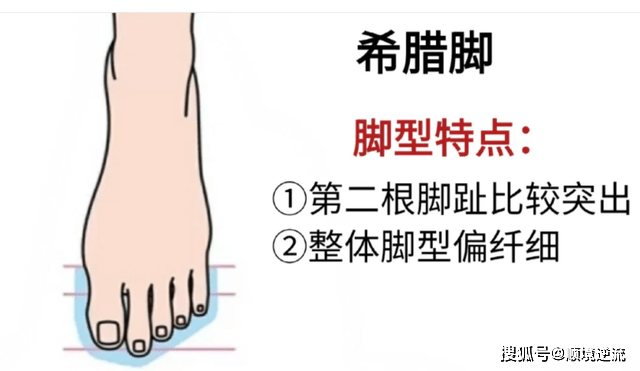 圆头 你是什么“脚”，就穿什么鞋！选对鞋子，穿搭才能优雅显高级