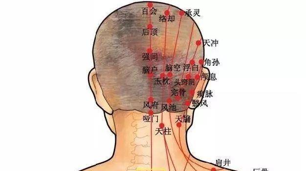 a6ce3839398742c9951395ccb82ddaba.jpeg