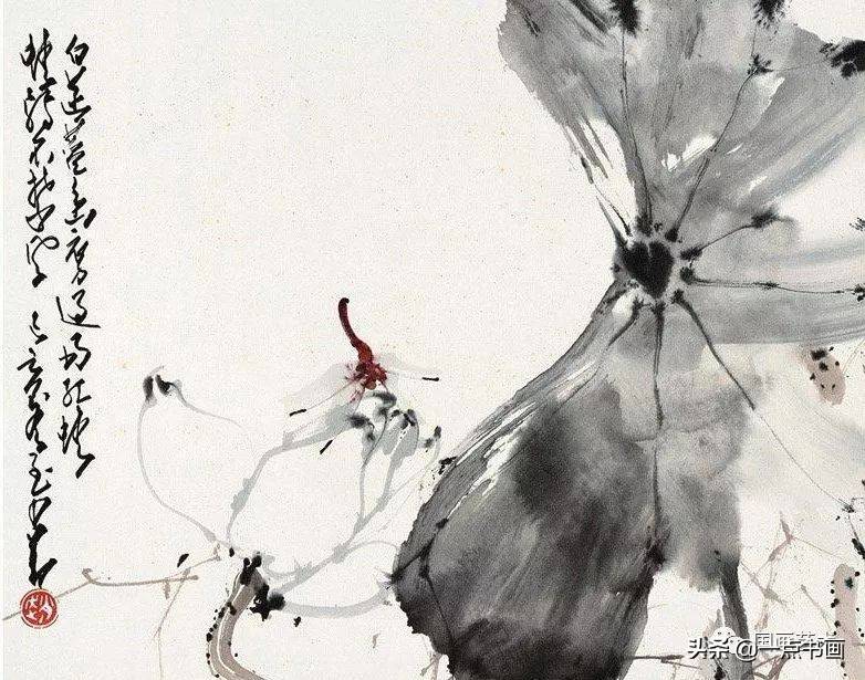 赵少昂 荷画欣赏与画荷经验谈_荷花