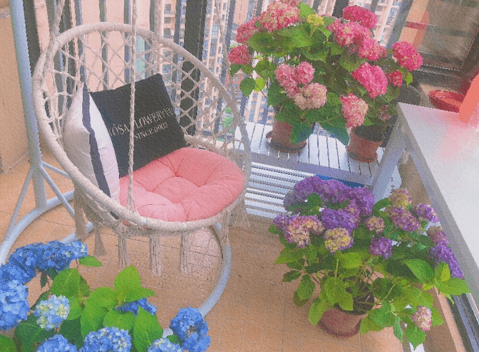 5008d74db8434a499c757bf7f727a09e.png