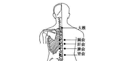 脸部人到中年，脸下垂！中医4招，迅速提升下垂脸，简简单单就变美！