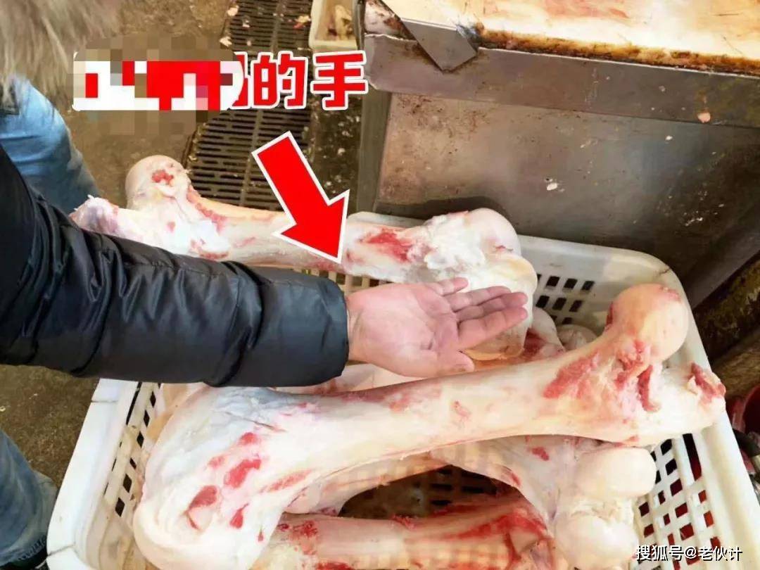 原料|注意|宠物自制宠物零食要避坑，这些坑你踩过吗？